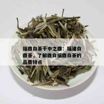 福鼎白茶干中之鼎：福建白鼎茶，了解鼎白福鼎白茶的品质特点