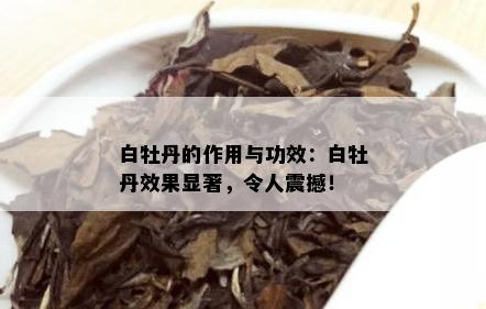 白牡丹的作用与功效：白牡丹效果显著，令人震撼！