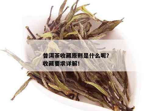 普洱茶收藏原则是什么呢？收藏要求详解！