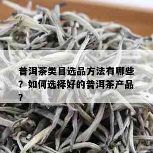 普洱茶类目选品方法有哪些？如何选择好的普洱茶产品？