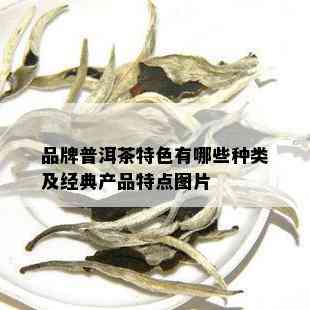 品牌普洱茶特色有哪些种类及经典产品特点图片