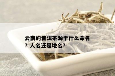 云南的普洱茶源于什么命名？人名还是地名？