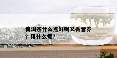 普洱茶什么煮好喝又香营养？用什么煮？