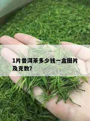 1片普洱茶多少钱一盒图片及克数？