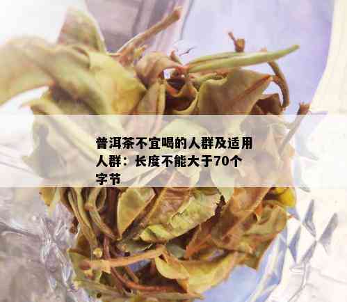 普洱茶不宜喝的人群及适用人群：长度不能大于70个字节