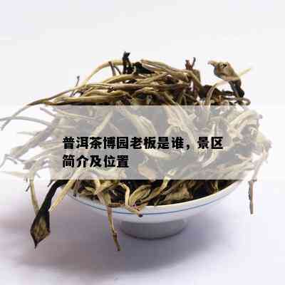 普洱茶博园老板是谁，景区简介及位置