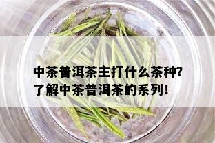 中茶普洱茶主打什么茶种？了解中茶普洱茶的系列！