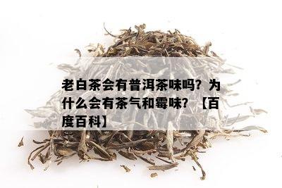 老白茶会有普洱茶味吗？为什么会有茶气和霉味？【百度百科】