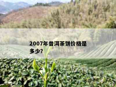 2007年普洱茶饼价格是多少？