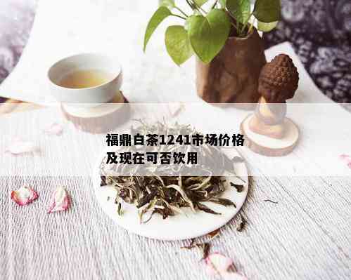 福鼎白茶1241市场价格及现在可否饮用