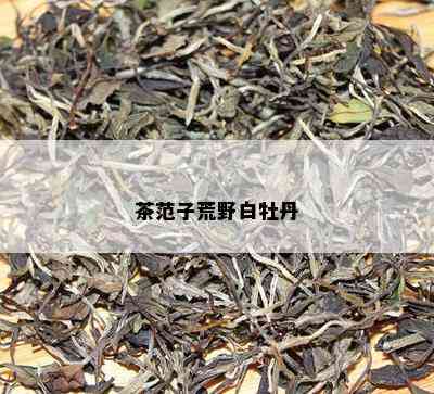 茶范子荒野白牡丹