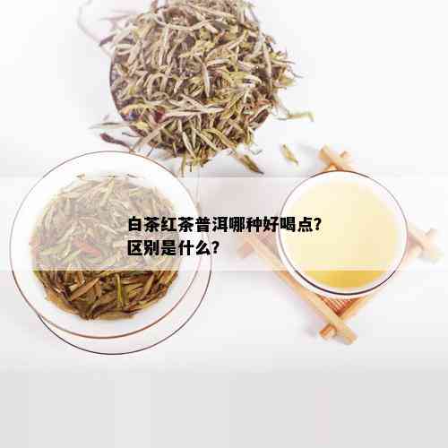 白茶红茶普洱哪种好喝点？区别是什么？