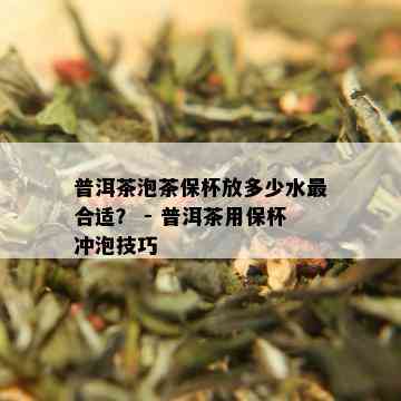 普洱茶泡茶保杯放多少水最合适？ - 普洱茶用保杯冲泡技巧