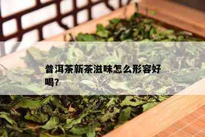 普洱茶新茶滋味怎么形容好喝？