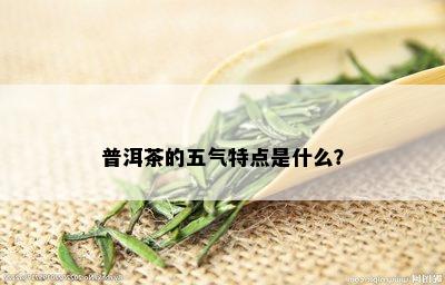 普洱茶的五气特点是什么？