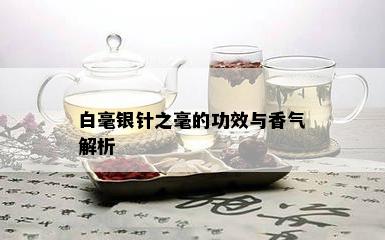 白毫银针之毫的功效与香气解析