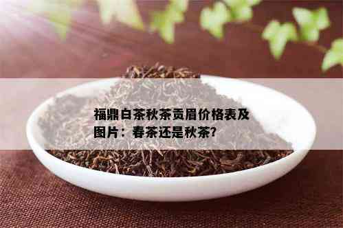 福鼎白茶秋茶贡眉价格表及图片：春茶还是秋茶？