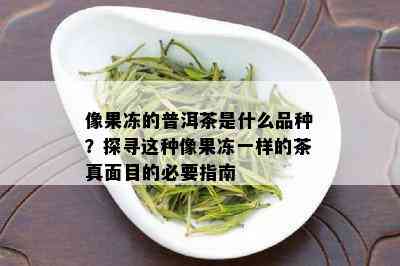 像果冻的普洱茶是什么品种？探寻这种像果冻一样的茶真面目的必要指南