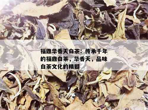 福鼎华香天白茶：传承千年的福鼎白茶，华香天，品味白茶文化的精髓