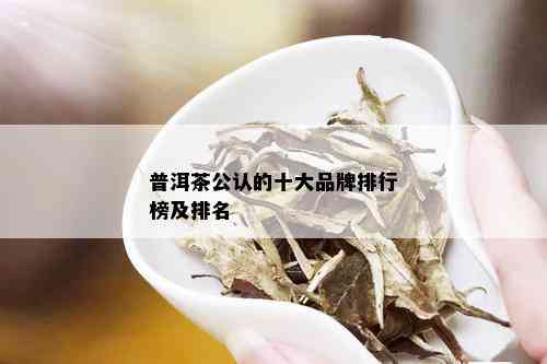 普洱茶公认的十大品牌排行榜及排名