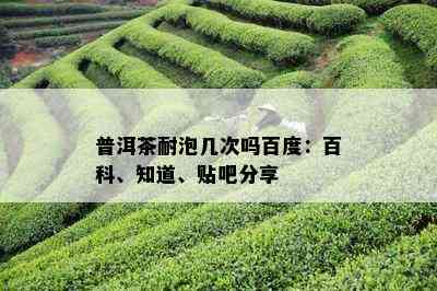 普洱茶耐泡几次吗百度：百科、知道、贴吧分享