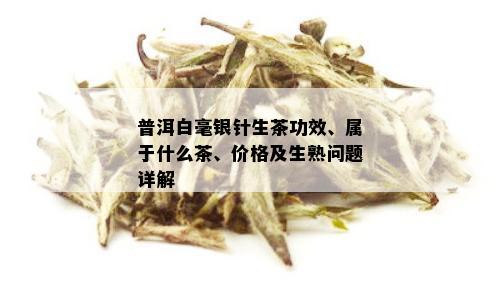 普洱白毫银针生茶功效、属于什么茶、价格及生熟问题详解