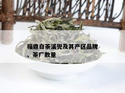 福鼎白茶溪兜及其产区品牌、茶厂数量