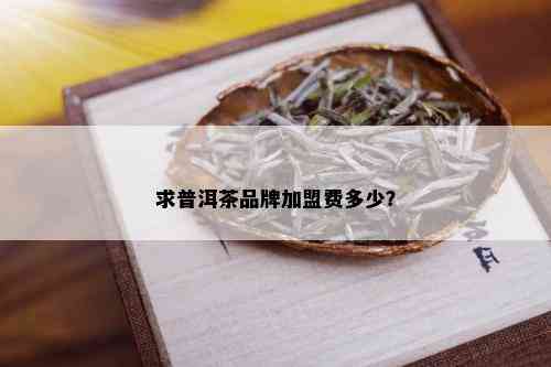 求普洱茶品牌加盟费多少？