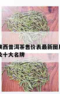 陕西普洱茶售价表最新图片及十大名牌