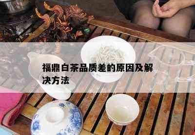 福鼎白茶品质差的原因及解决方法