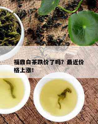 福鼎白茶跌价了吗？最近价格上涨！