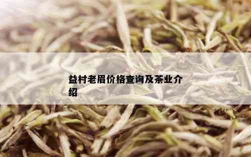 益村老眉价格查询及茶业介绍