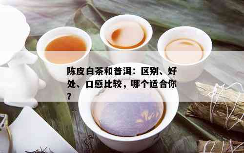 陈皮白茶和普洱：区别、好处、口感比较，哪个适合你？