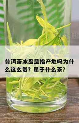 普洱茶冰岛是指产地吗为什么这么贵？属于什么茶？