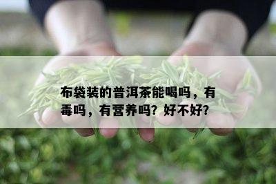 布袋装的普洱茶能喝吗，有吗，有营养吗？好不好？