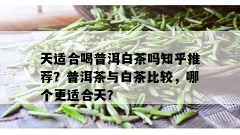 天适合喝普洱白茶吗知乎推荐？普洱茶与白茶比较，哪个更适合天？