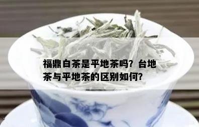 福鼎白茶是平地茶吗？台地茶与平地茶的区别如何？