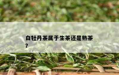 白牡丹茶属于生茶还是熟茶？