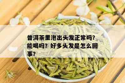 普洱茶里泡出头发正常吗？能喝吗？好多头发是怎么回事？