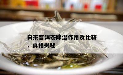 白茶普洱茶除湿作用及比较，真相揭秘