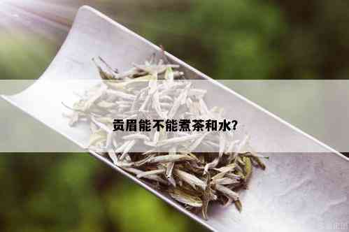 贡眉能不能煮茶和水？