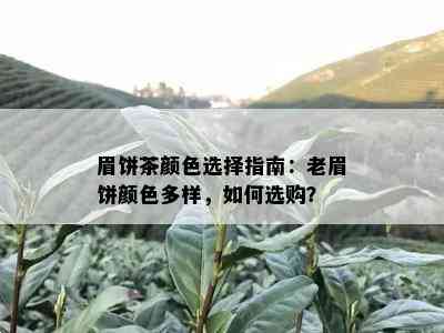 眉饼茶颜色选择指南：老眉饼颜色多样，如何选购？