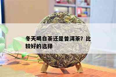 冬天喝白茶还是普洱茶？比较好的选择