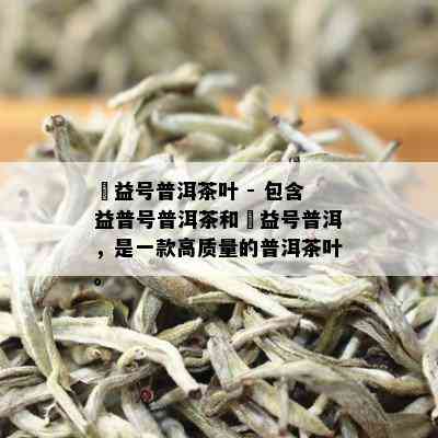 鏮益号普洱茶叶 - 包含益普号普洱茶和鏮益号普洱，是一款高质量的普洱茶叶。