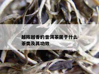 越陈越香的普洱茶属于什么茶类及其功效