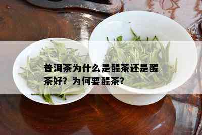 普洱茶为什么是醒茶还是醒茶好？为何要醒茶？