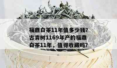 福鼎白茶11年值多少钱？古青树1169年产的福鼎白茶11年，值得收藏吗？