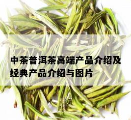 中茶普洱茶高端产品介绍及经典产品介绍与图片