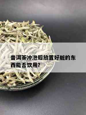 普洱茶冲泡后放置好脏的东西能否饮用？