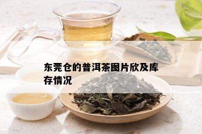 东莞仓的普洱茶图片欣及库存情况